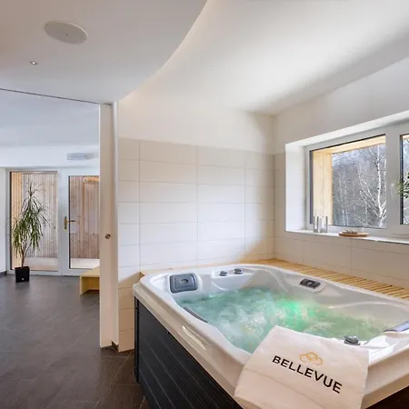Hotel & Bellevue