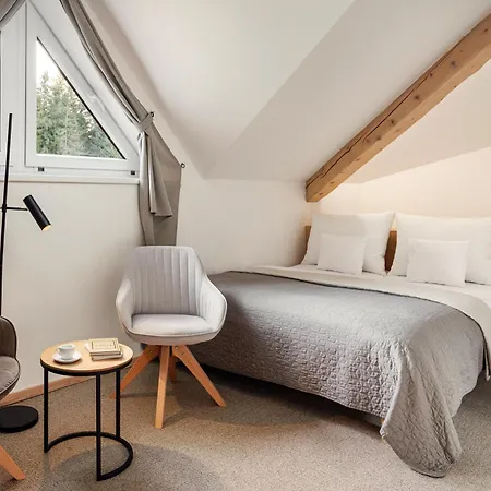 Hotel & Bellevue Harrachov