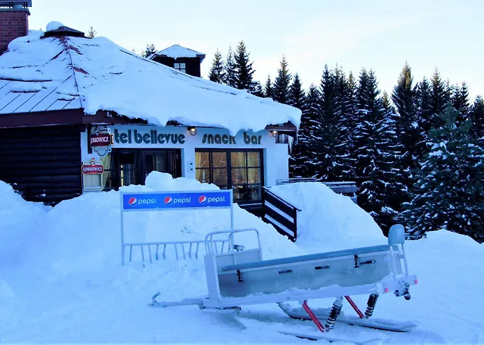 & Bellevue Hotel 4*